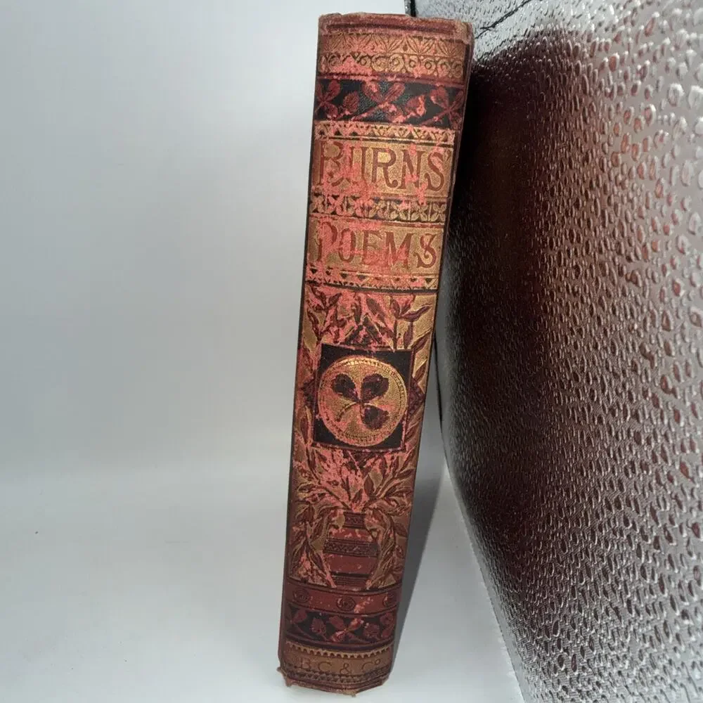 1881 THE POETICAL WORKS OF ROBERT BURNS Antique Decorative Victorian Poetry Book
